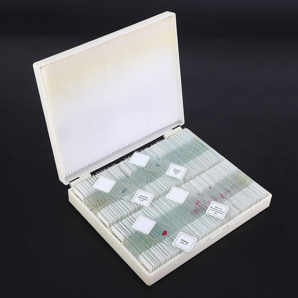 Подготовленный набор слайдов по биологическому разделу для базового биологического образования, 100 слайдов