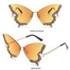 Y2K Eyewear Butterfly Sunglasses Purple Sunglasses for Women Bling Sun Glasses Ladies Shades