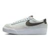 Nike Блейзер Нескользящие Износостойкие Низкие Кеды для Скейтборда Женские Зеленые Коричневые Кроссовки Обувь для Скейтборда DJ0292-004