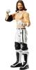 WWE Basic Aj Styles Poseable 6-Inch Collectible Action Figure, Ages 6+