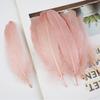 50Pcs Shellfish Feather Goose Feather Diy Handmade Jewelry Accessories Handicrafts Cat Toys Decorative Feathers