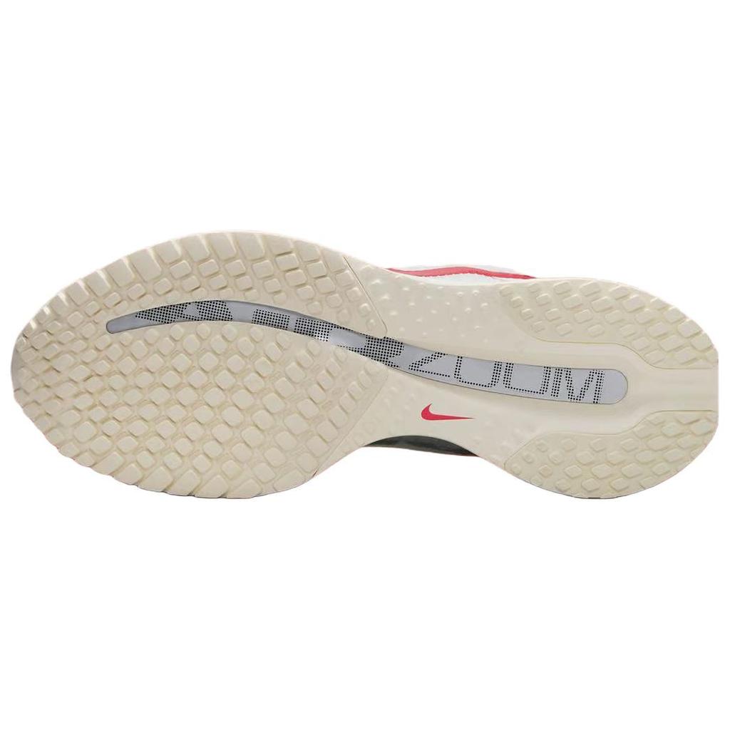 Nike Кроссовки Pegasus Premium Forrest Gump для женщин Белые Парусный Черный IH7347-111