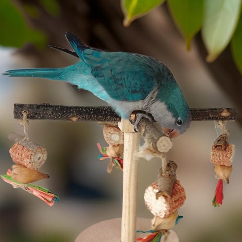 Деревянная жердочка для птиц, вращающаяся молярная подставка для попугаев, припасы для корелл, жердочки-скребки для маленьких и средних попугаев