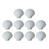 10pcs DIY White Seashells Perfectly For Handcrafting And Painting Activities For Kids And Adults House Decoration