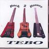 CD TEBO - Back 2 Bassez NONE TEBO MUSIC Non Japan Rock Used
