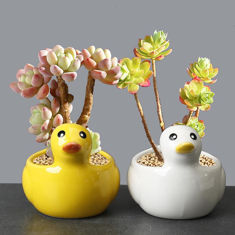 Succulent Plant Flower Pot Super Cute Duckling Creative Animal Fun Personality Succulent Versatile Ceramic Flower Pot