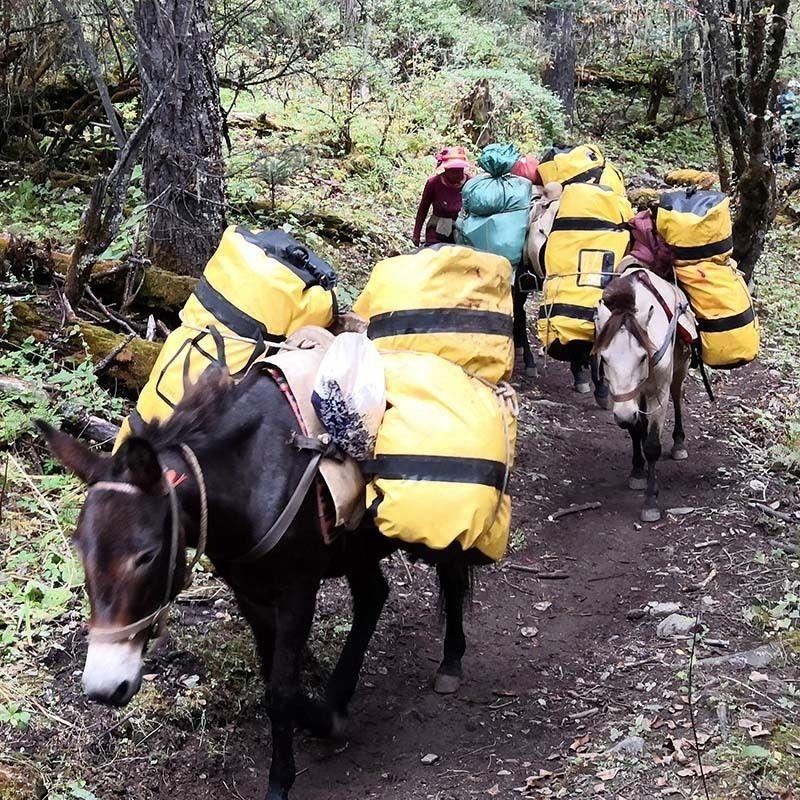 Автомобильный бокс на крыше