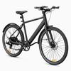 DYU Stroll 1 Electric Bike 250W 27'' Commuter City Bike with 36V 9Ah Battery, Dual Hydraulic Disc Brake