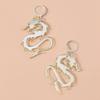 Mirror Surface Streetwear Jewelry Acrylic Totem Darts Hoop Earrings Dragon Pattern Dragon Earrings