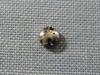 Part C Silver Crown for Ace 57