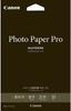 Canon Photo Paper Glossy Pro Platinum Grade 2L Size 30 Sheets Purchase PT-2012L30 [Bulk 3-Pack]
