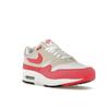 Nike Air Max 1 Aster Pink женские кроссовки Белый Светло-Orewood-Коричневый Черный DZ2628-110