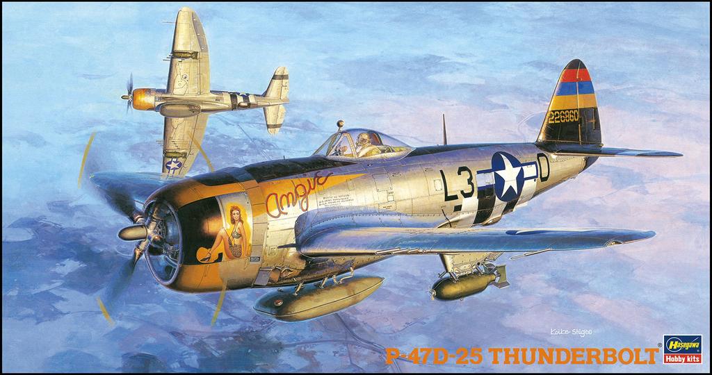 Hasegawa US Army Thunderbolt Plastic Model JT40 1/48 P-47D-25
