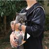 Переноски для домашних животных Удобная переноска для маленьких кошек собак Рюкзак Путешествия Дышащая сумка для прогулок Долговечная сумка-переноска для домашних животных Собак