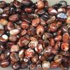 Stunning Natural Madagascar Banded Agate Crystal Stone For Healing And Ornamentation