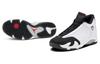 Air Jordan 14 "Black Toe" 487471-160
