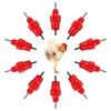 10 Pcs Poultry Drinking Nipples Auto Water Screw In Drinkers