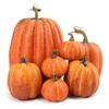 7pcs Artificial Pumpkin Decoration Set, Realistic Halloween Pumpkins for DIY Crafts, Autumn Harvest, Home & Party Decor