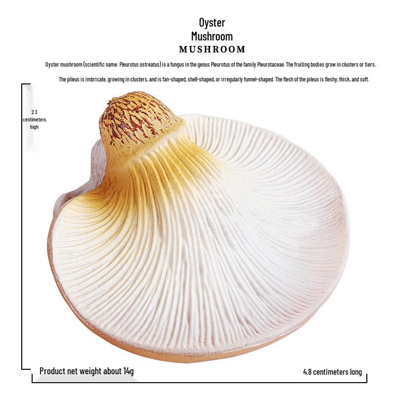 Simulated Vegetables & Mushrooms: Educational Props & Decorative Toys for Kindergarten