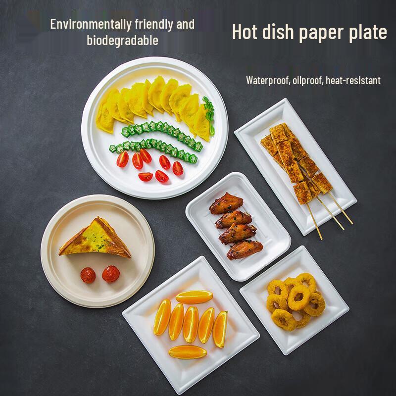 Biodegradable Disposable Paper Plates