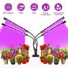 LED Grow Light USB Phyto Lamp Full Spectrum Grow Light With Control Phytolamp For Plants Seedlings Flower Home Tent Consignment