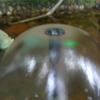 Tête de buse en plastique multifonctionnelle pour fontaine d'étangs de jardin, 8 pièces, 4 buses différentes pour piscines,