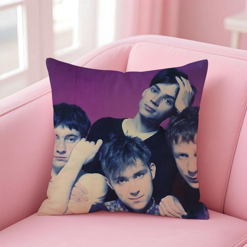 BBlur Cushion Cover Pillow Case Soft Friendly Fabric Concealed Zipper