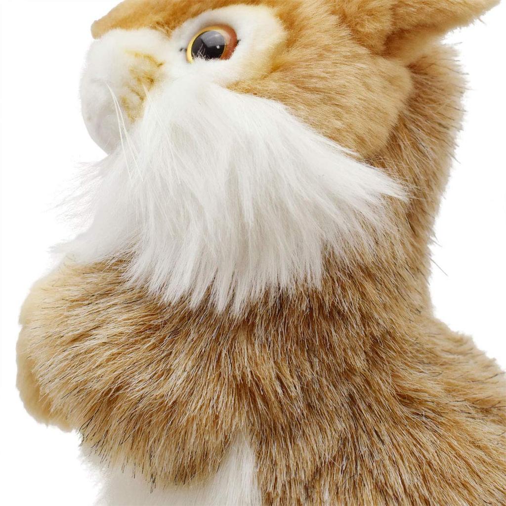 BH3316 HANSA Rabbit 30