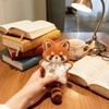 Cute Raccoon Plush Toy Diy Soothing Towel Pendant Bean Bag Material Kit  Gift