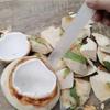 5Pcs Convenient Coconut Opener Long Handle Kitchen Gadget New Digging Coconut Tool  Extractor