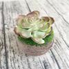 1Pc Plastic Fake Artificial Succulents Plant Bonsai Garden Home Office Decor