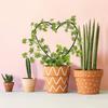 1Pc Plant Support Garden Stake Stand Round Vine Climbing Rack Ironheart-Shaped Flower Trellis Frame Stand Holder Plastic Decor