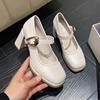 Fashion French Thick High Heels Womens Pumps Genuine Leather Platforms Buckle Strap Shallow Office Career Shoes Retro Mary Jane