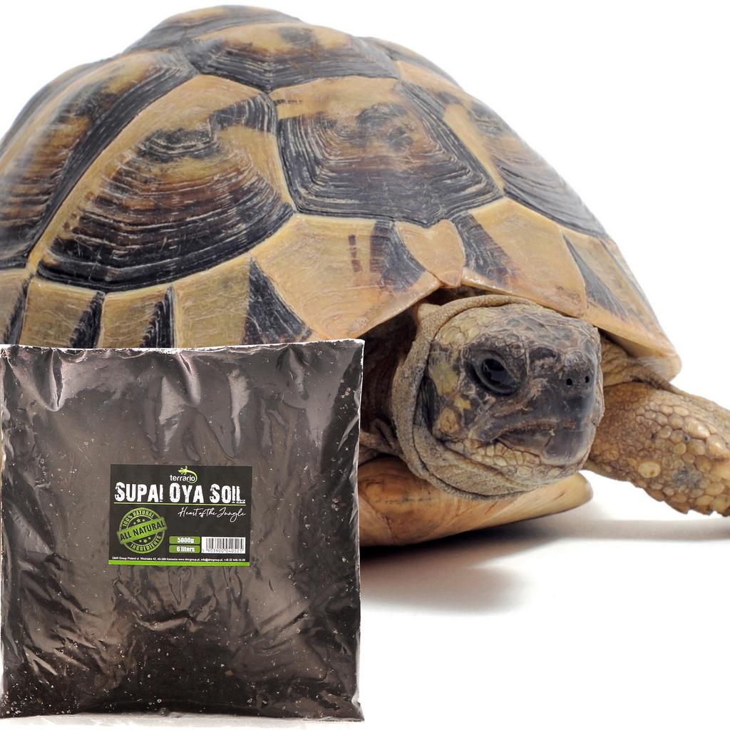 Terrarium Substrate for Tortoises, Natural, Absorbent, 6L