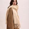 Tassel Imitation Cashmere Scarf Korean Style Women Shawl Elegant Long Wool Scarf  Student
