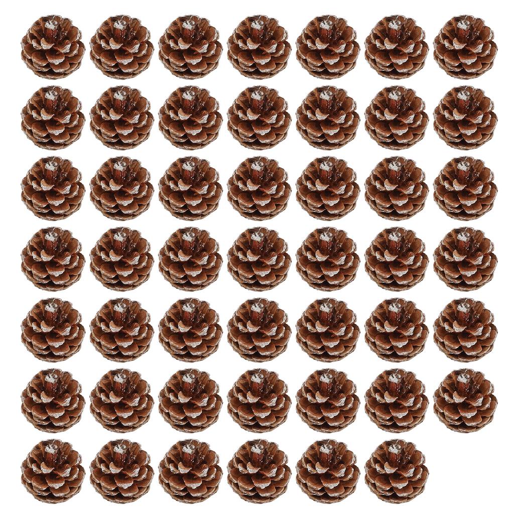 48pcs Christmas Pine Cones Ornaments with String Rustic Pine Cones Fall Decoration for DIY Crafts