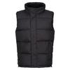 Regatta Mens Northdale Insulated Gilet