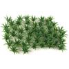 50 Model Ground Cover Plants Architecture Train Diorama Scenery 1:60-1:75 HO