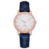 Diamond Inlaid Luminous Watch Women's Belt Women's Watch Quartz Watch Watch