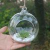 Sagit Flower Hanging Vase Glass Planter Plant Terrarium Container Home Wedding Decor