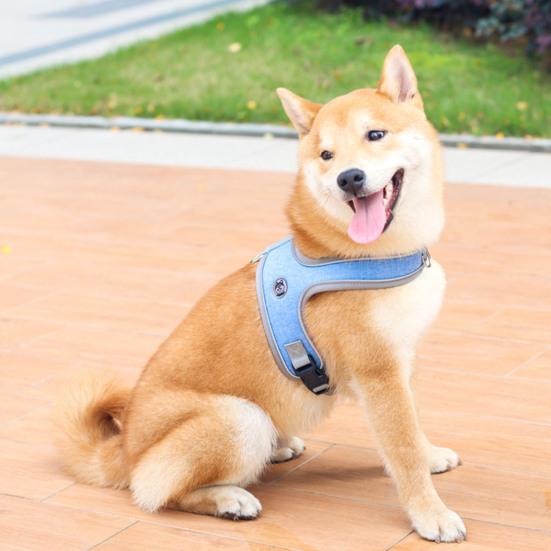 No-Pull Dog Harness Breathable Dog Harness with Reflective Leash Adjustable Fit Mesh Vest Harness