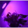 Phyto Lamp Full Spectrum LED Grow Light E27 Plant Lamp Fitolamp For Indoor Seedlings Flower Fitolampy Grow Tent Box