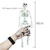 accessories Biology teaching Skeleton model Human Bones Halloween props Car Rearview mirror pendant