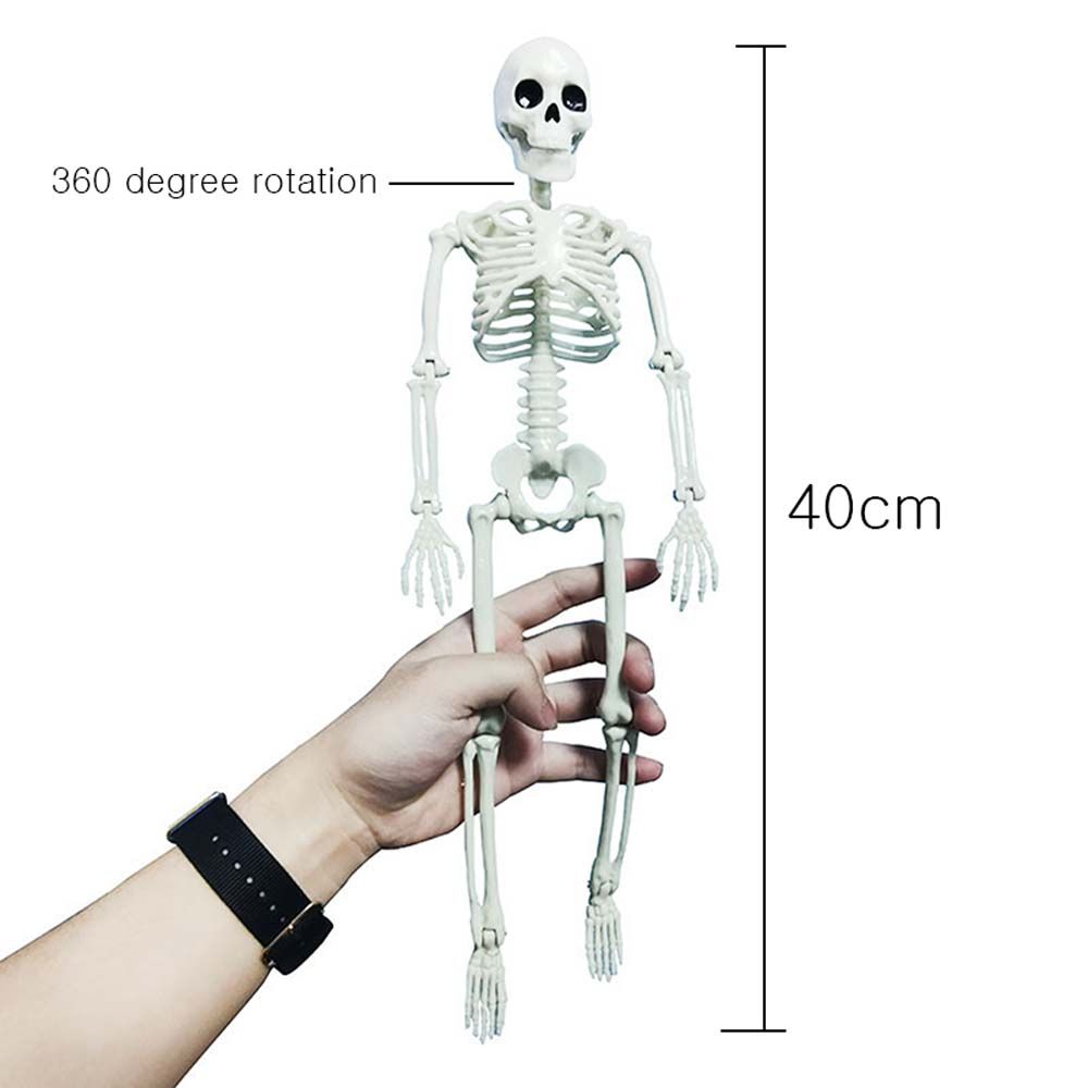 accessories Biology teaching Skeleton model Human Bones Halloween props Car Rearview mirror pendant
