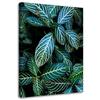Canvas Print, Leaves of Plants In the Tropics