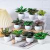 Маленький мини-пластиковый настольный столик, зеленые растения в горшках, украшение для автомобиля, несколько стилей, офисный микро-пейзаж, искусственное украшение
