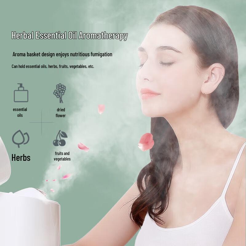 MKS Nano Hot & Cold Dual Spray Facial Steamer CN plug (adapter included)