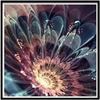Full 5D Diy Diamond Painting Beautiful Flower Embroidery Cross Stitch Home Decor Handmade Gift