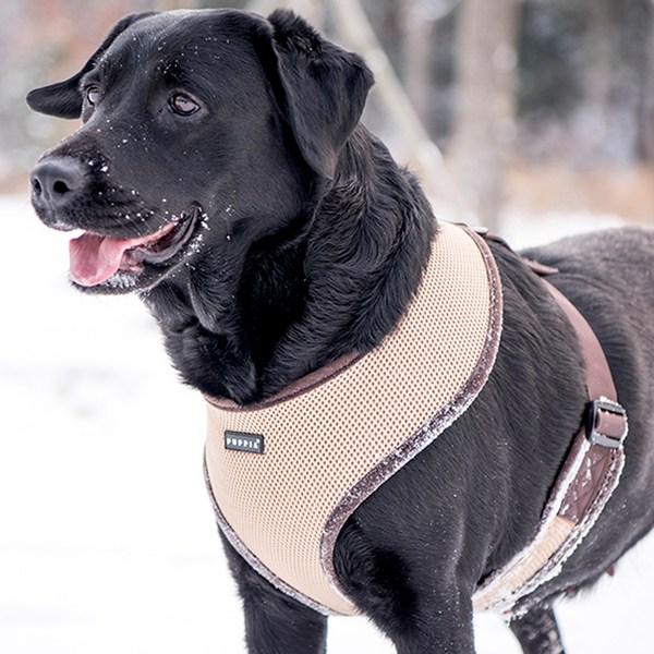 Мягкая шлейка для щенков A PDCF-AC30, бежевая