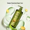 Schwarzkopf Ginger Essence Oil Control Shampoo